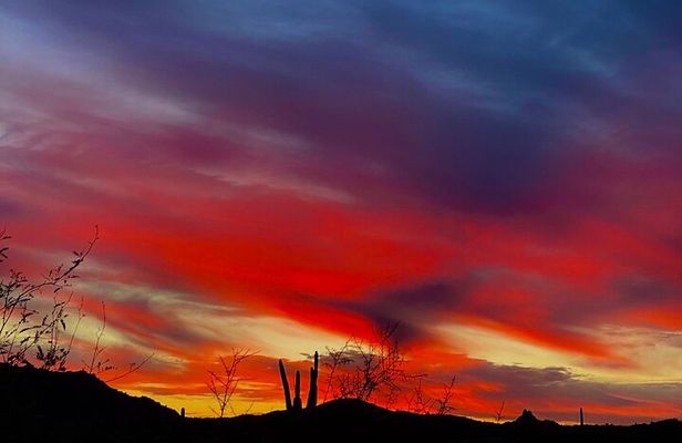 Spectacular Sunrise Guided Hike in Phoenix, Arizona