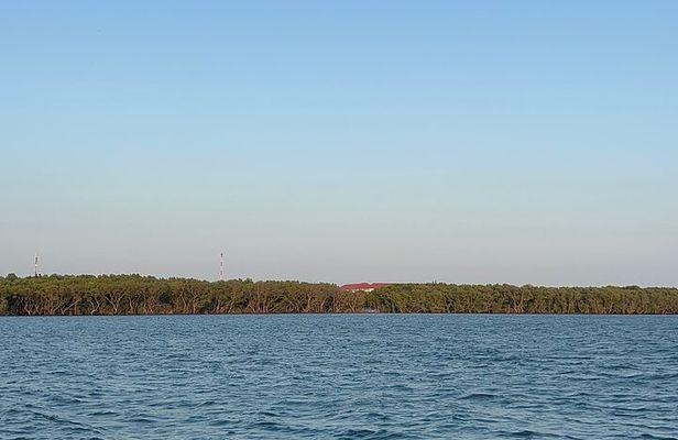 Can Gio Mangrove Forest & Authentic Thanh An Island Private Tour