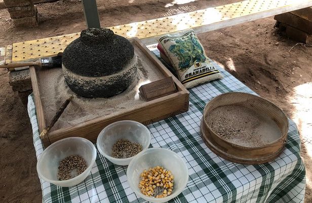 Tour Visiting banana plantation and winery in Tenerife