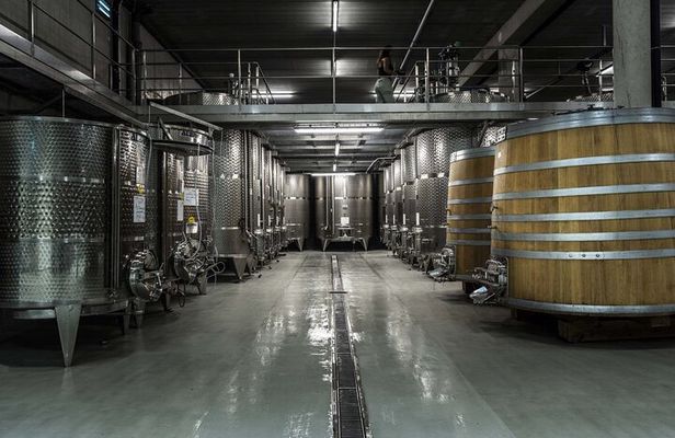 EXPLORATION - Visit of the estate, the cellars & tasting