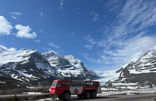 Banff Icefield Parkway Private Full Day Tour