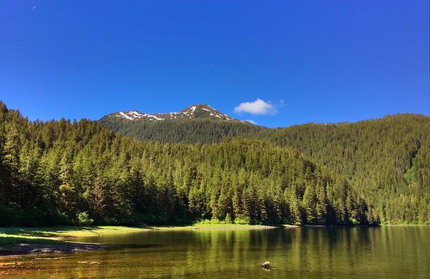 Alaska Bears and Silver Bay Homestead