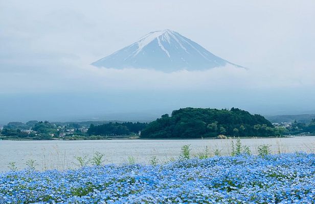 Mount Fuji Adventures Private English Guided Tour With Pick Up