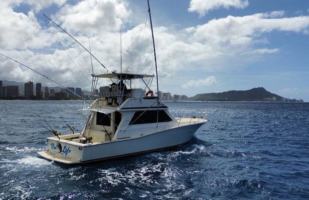 Offshore Fishing Adventures With Ohana Deep Sea Fishing