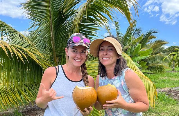 Macnut Tour, Picnic lunch and Maui Bees