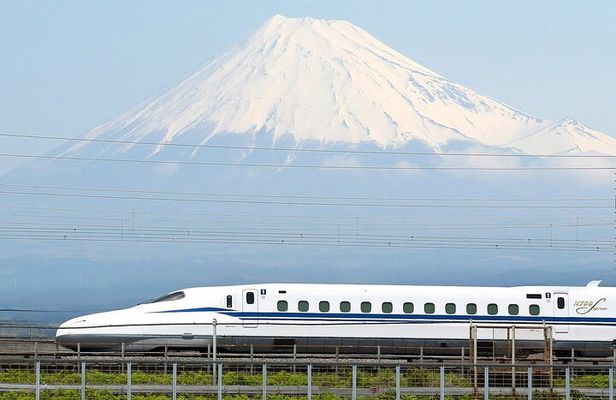 Bullet Train Experience & Mishima Shrine Private Tour from Tokyo