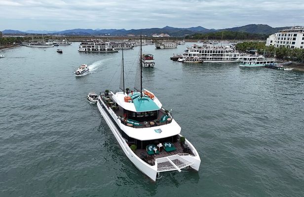 Catamaran Premium Cruise to Halong Bay & Lan Ha Bay in 1 Day Tour