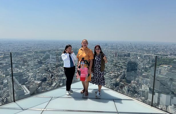 Tokyo Private Tour: One Day Highlights and Optional Shibuya Sky