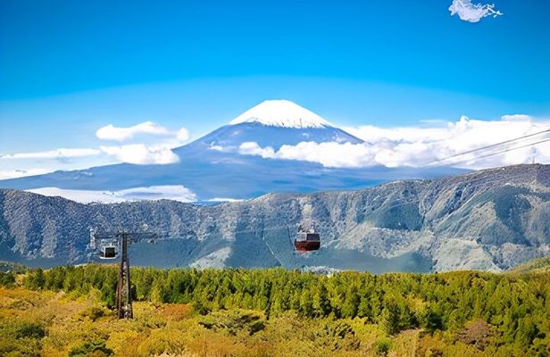 Private Tour to Mount Fuji & Hakone with English Speaking Guide
