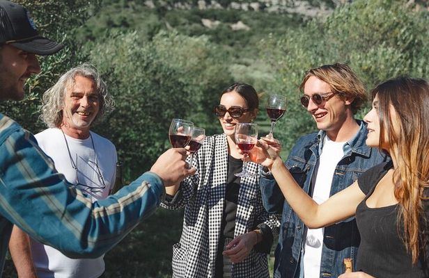 Wine Tours and Tastings from Béziers