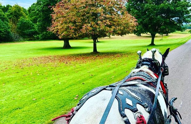 Killarney Jaunting Car Tour