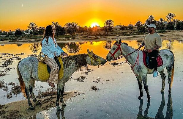 Horseback riding or camel at sunset in Djerba