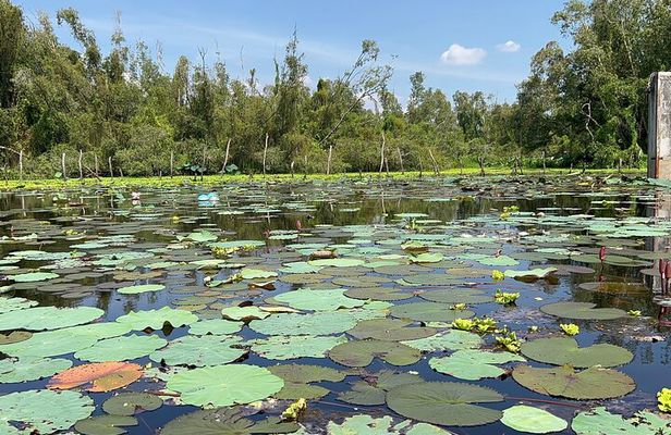 Discover Tan Lap Floating Village: A Tranquil Mekong Delta Escape