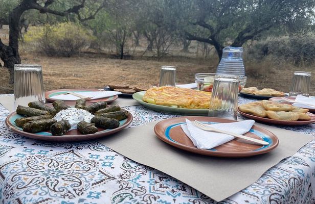 Heraklion:Olive & Dragon Fruit Farm Tour & Cretan Farmers Brunch