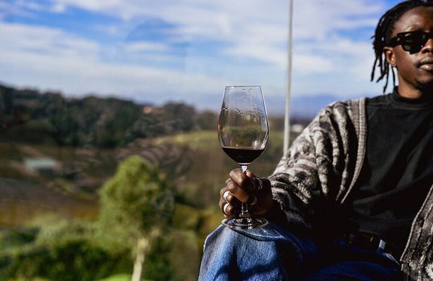 Cape Town Customisable Premium Wine Tour & Tastings