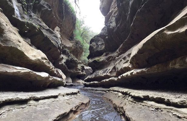 Hells Gate National Park & Lake Naivasha Day Trip from Nairobi