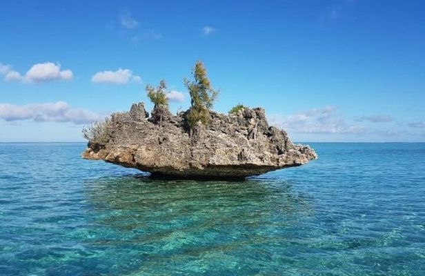 Shared 10 Pax Boat Tour: Dolphin Watching, Snorkelling and BBQ