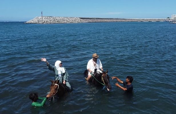 1 hour bali horse riding & Swim at the beach