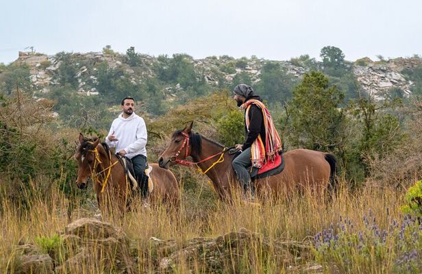 Horse Riding Experience in Riyadh | Tanomah | Jeddah | Al Ula