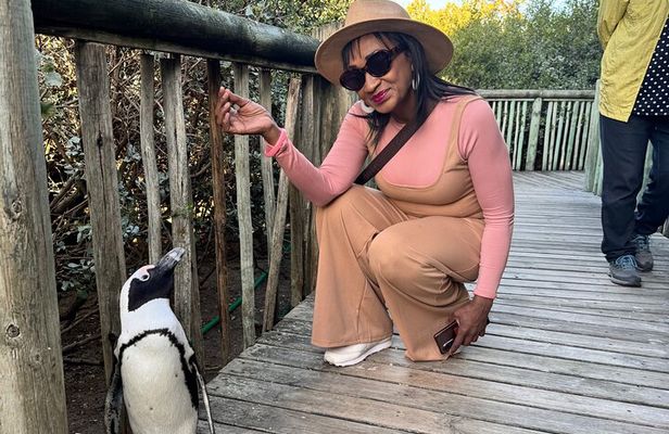 Table Mountain and Penguins Half Day Shared Group Tour