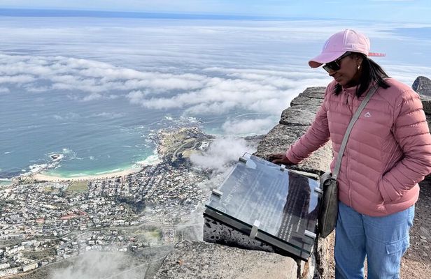 Table Mountain and Penguins Private Half Day Tour