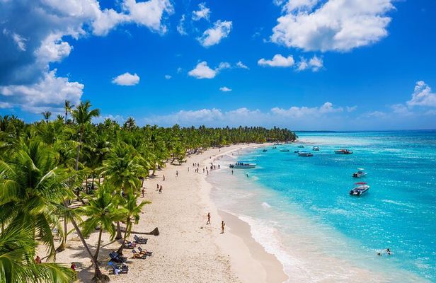 Saona Island Tour and Catamaran Party from Punta Cana