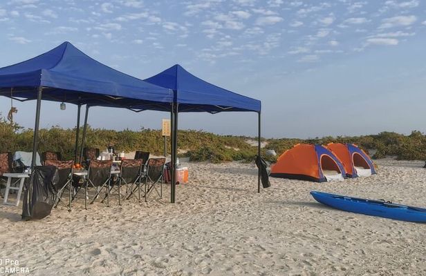Full Day Camping in Daymaniyat Islands