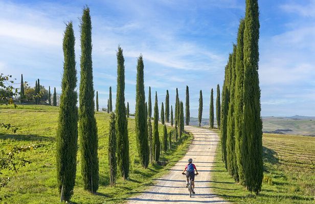 San Gimignano: eBike Tour Virtual-Guided