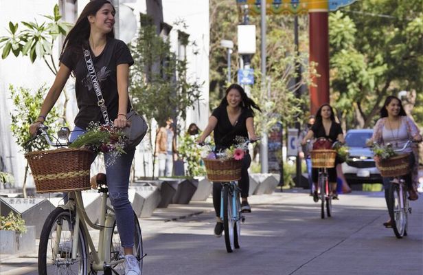 Bike adventure through the Historic Center of Mexico City
