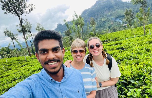 Discover Sri Lanka with Tailored Tours for Timeless Memories