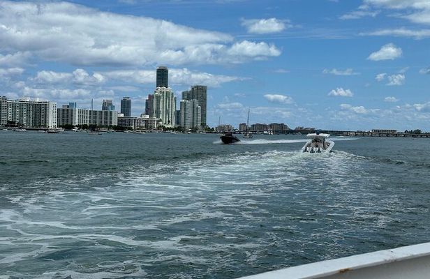 South Beach: Miami Boat Cruise and Skyline 