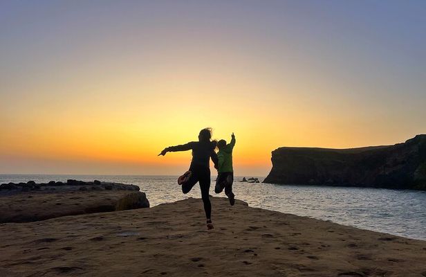 Paracas NationaL Reserve Journey - Scenic Stops at Your own pace