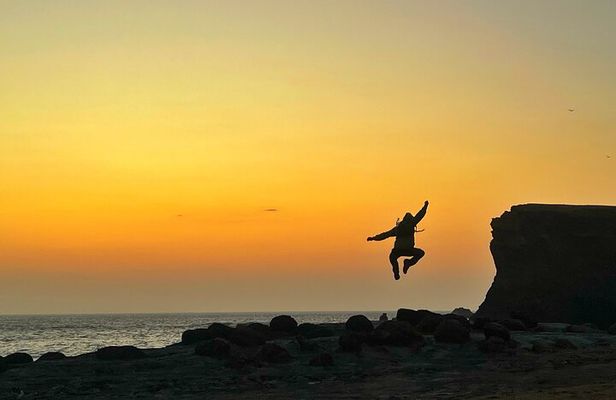 Private Tour at The National Reserve of Paracas