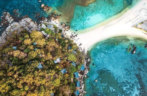 From Samui Koh Tao and Nangyuan Snorkeling Tour Day Trip