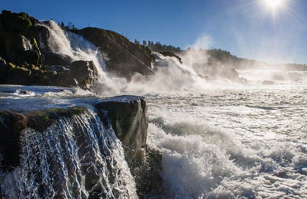 Scenic River Boat Tour on the Willamette River