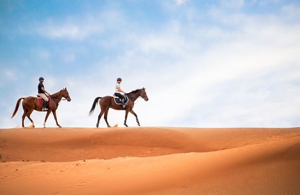 Doha Horseback Riding Adventure in Desert with Transport 