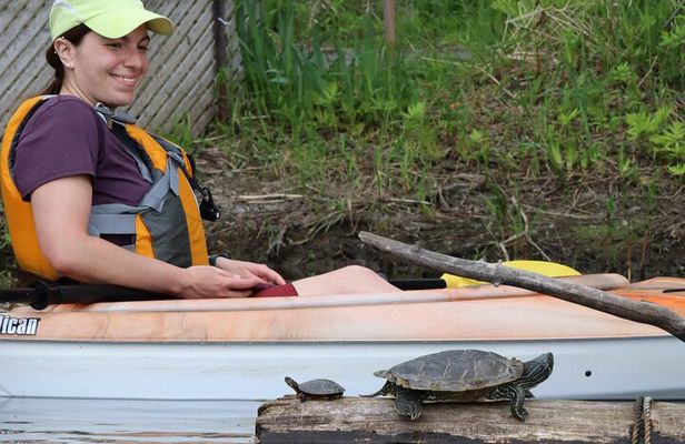 Ottawa Ecological Reserve Kayak Tour with TURTLE Sightings