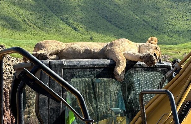 Classic 4-Day Tanzania Safari: Tarangire, Serengeti & Ngorongoro