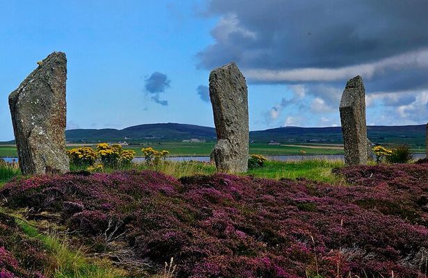 Scapa Tours