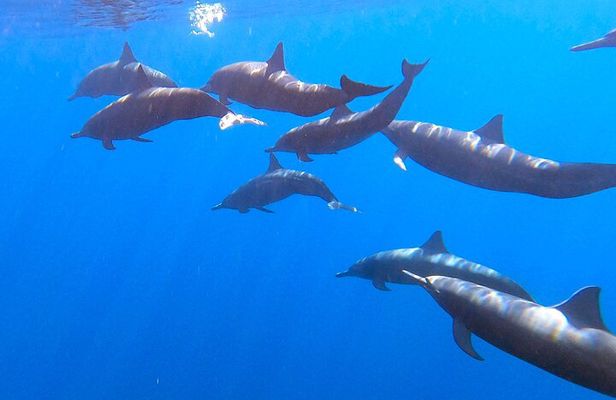 Private Huatulco Ocean Eco Adventure