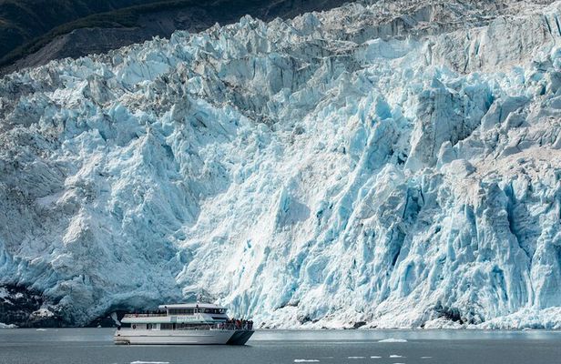 Captain's Choice Kenai Fjords National Park Tour from Seward