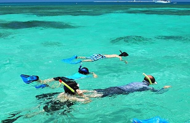 Snorkeling Water Private Activity In Montego Bay Jamaica