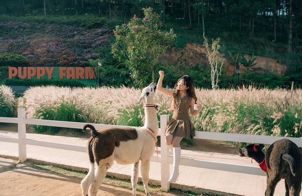 Full-Day Highlight of Da Lat –The famous tourist attractions 2025