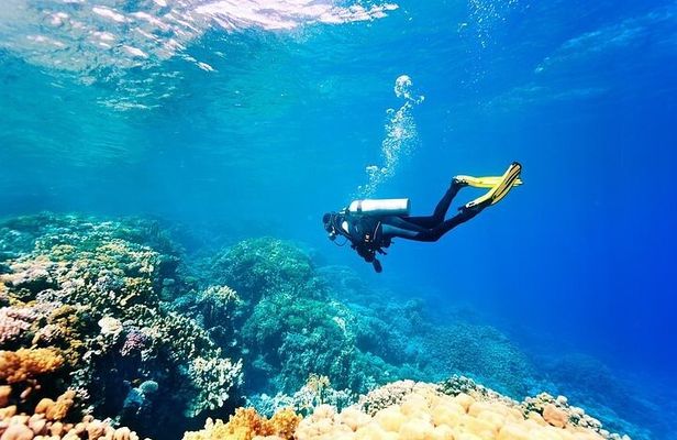 Scuba Diving in Alanya