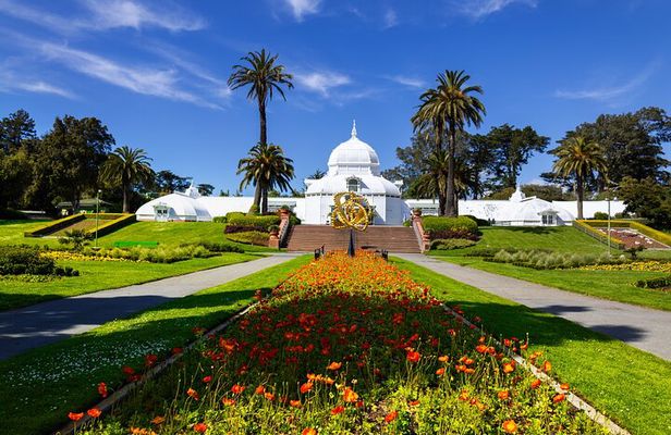 Golden Gate Park Tour With California Academy of Sciences Ticket