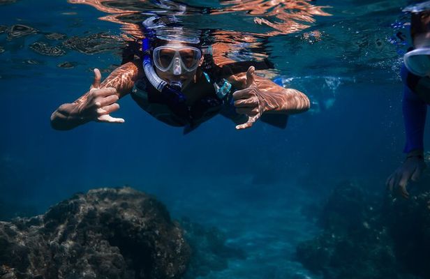 Sunset Glow Snorkel At Turtle Town With Photo & Video
