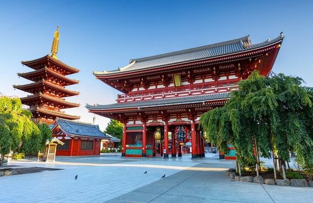 Tokyo Private Tour with English Speaking Driver