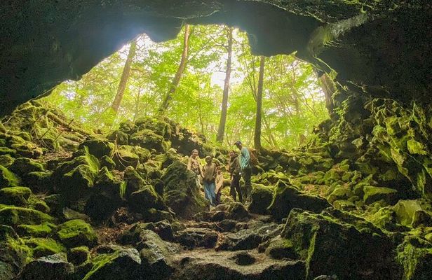 Private Hiking tour to enjoy the spectacular nature of Mt.Fuji