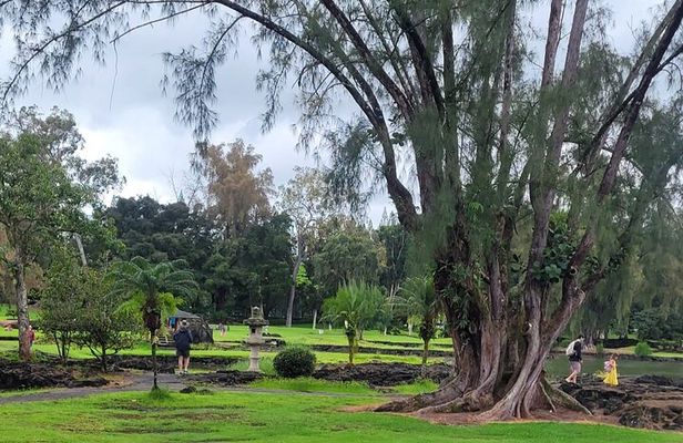 Meditative Journey through Hilo Gardens
