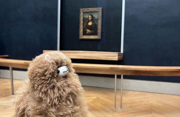 Louvre: All the stars of museum - Private guided 3h tour & entry